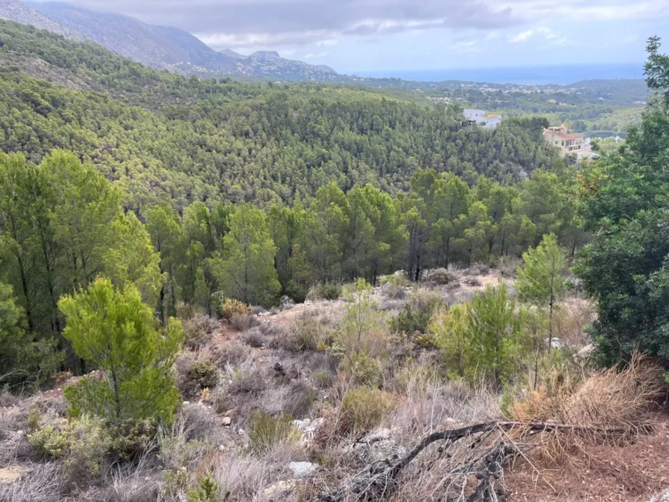 Helårsgrund i Callosa D'en Sarria, Alicante - foto 1