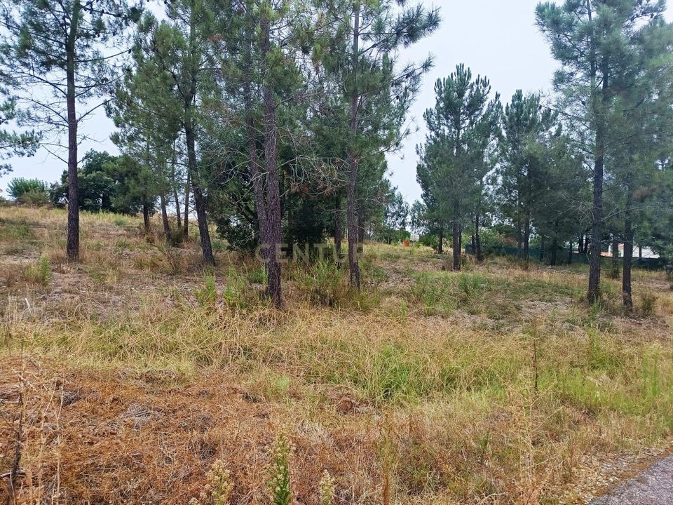 Helårsgrund i Tomar, Santarem - foto 2