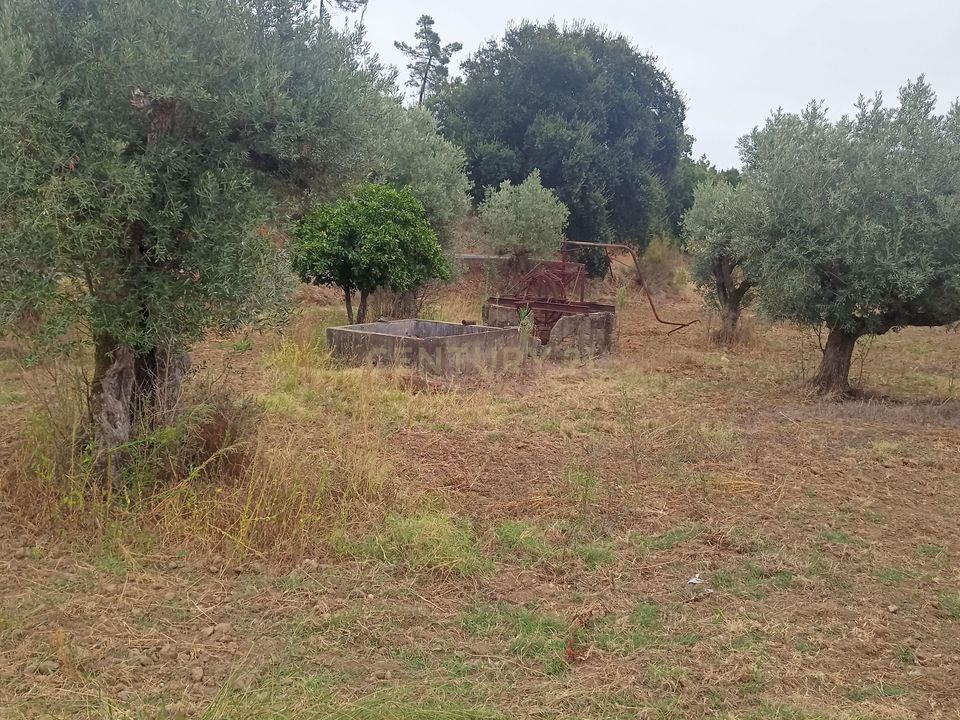 Helårsgrund i Tomar, Santarem - foto 2