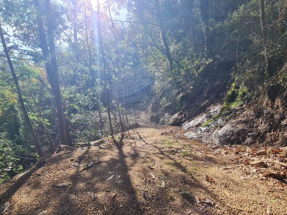 Helårsgrund i Vieira do Minho, Braga - foto 4