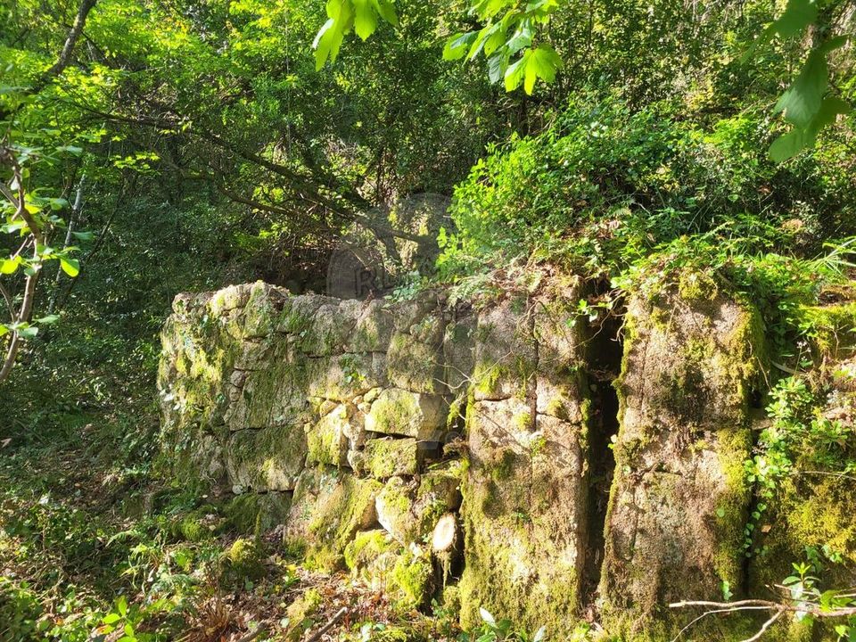 Helårsgrund i Vieira do Minho, Braga - foto 5