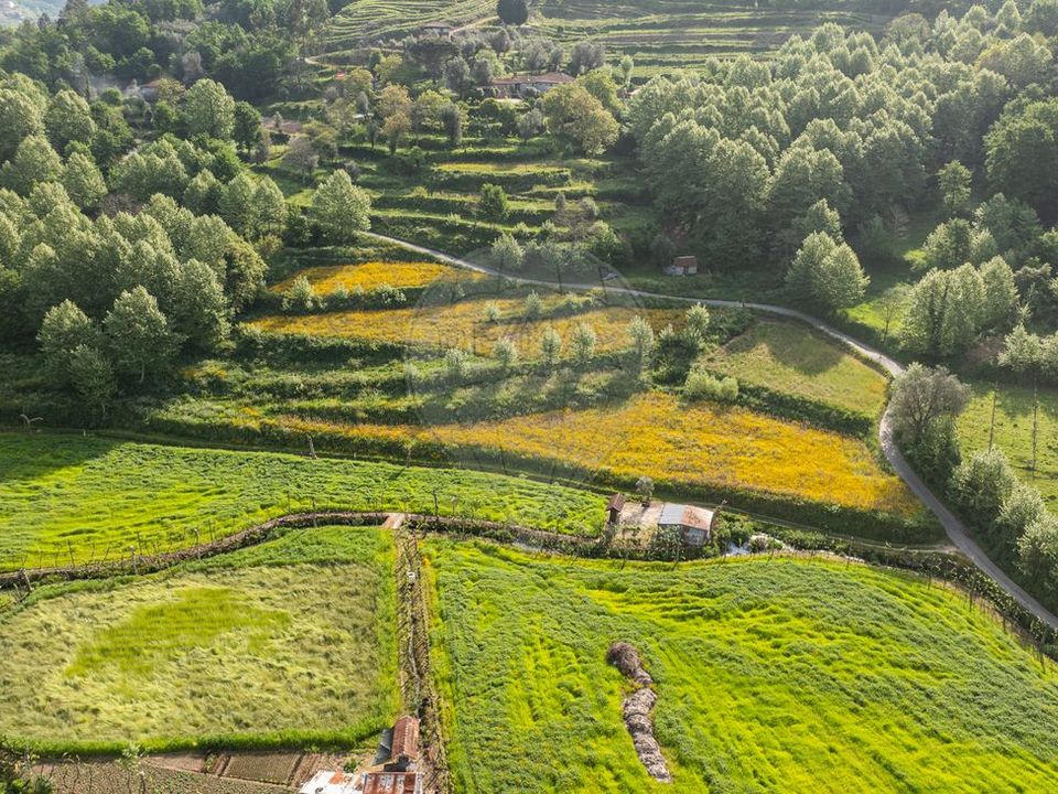 Farm i Celorico de Basto, Braga - foto 2