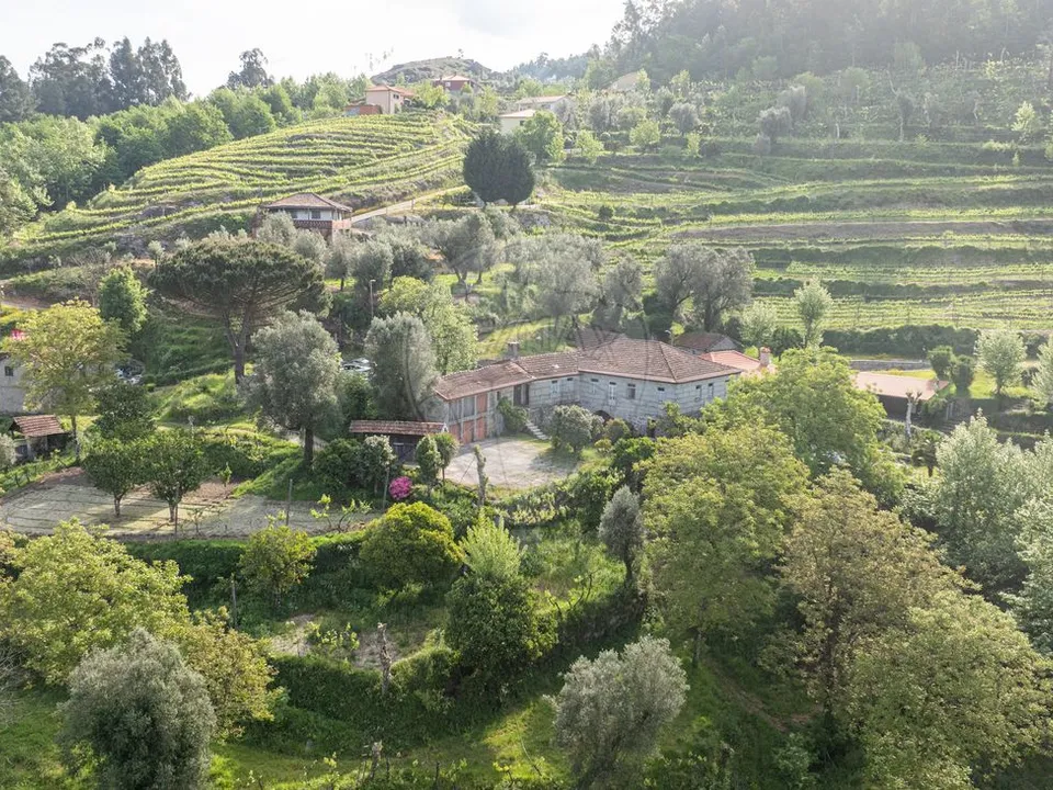 Farm i Celorico de Basto, Braga - foto 3