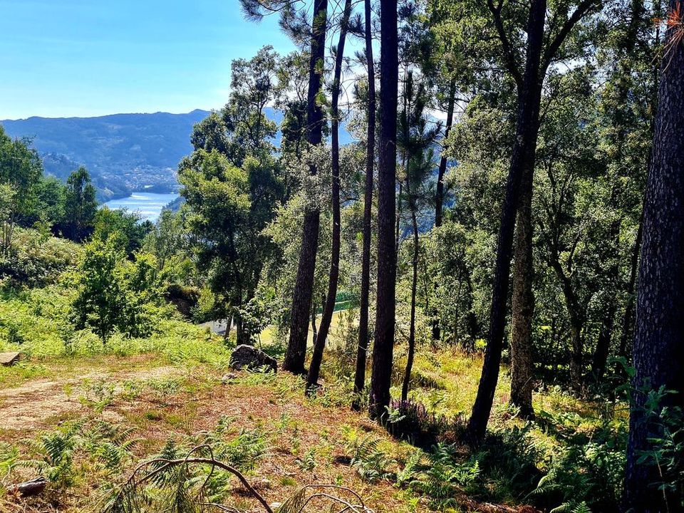 Helårsgrund i Vieira do Minho, Braga - foto 3