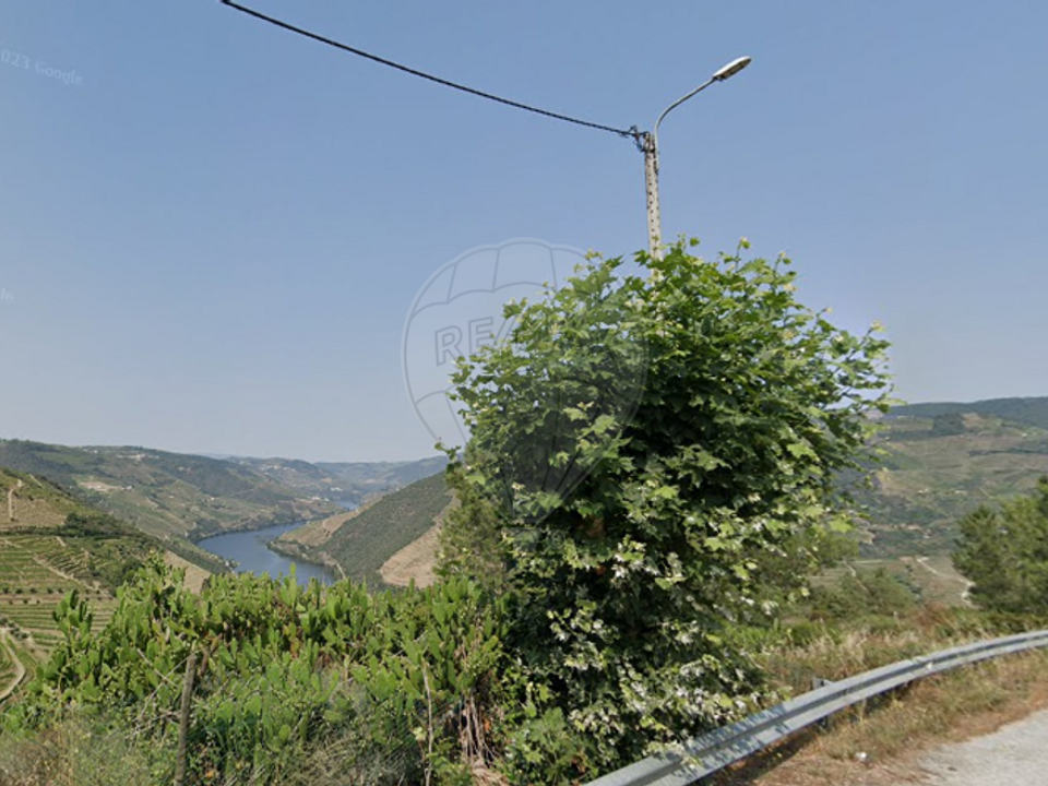 Helårsgrund i Tabuaco, Viseu - foto 5