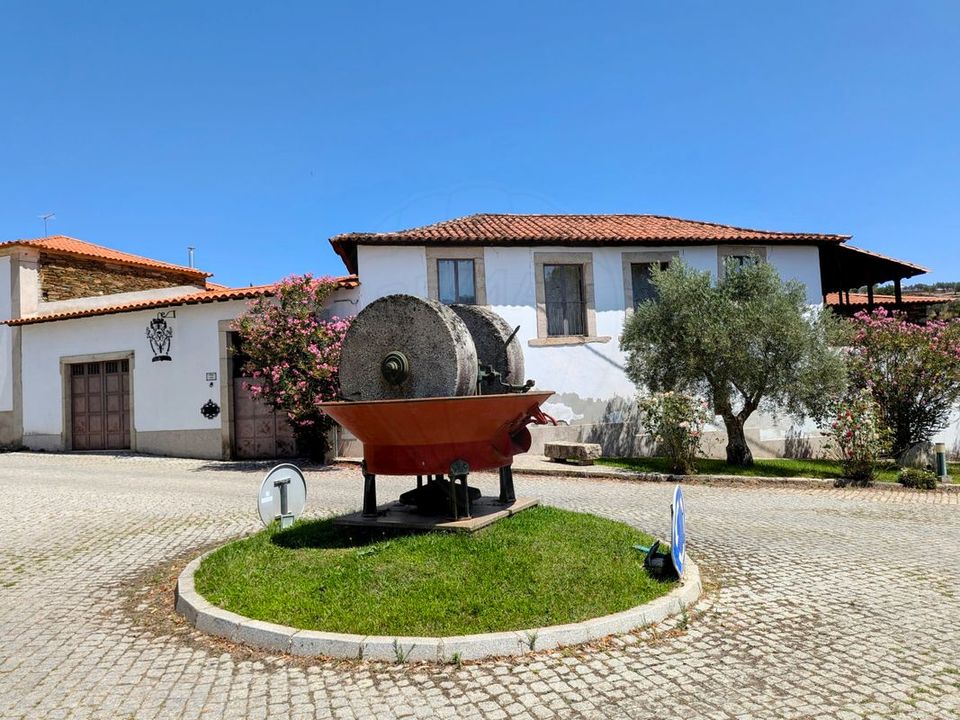 Gård i Mirandela, Braganca - bilde 1