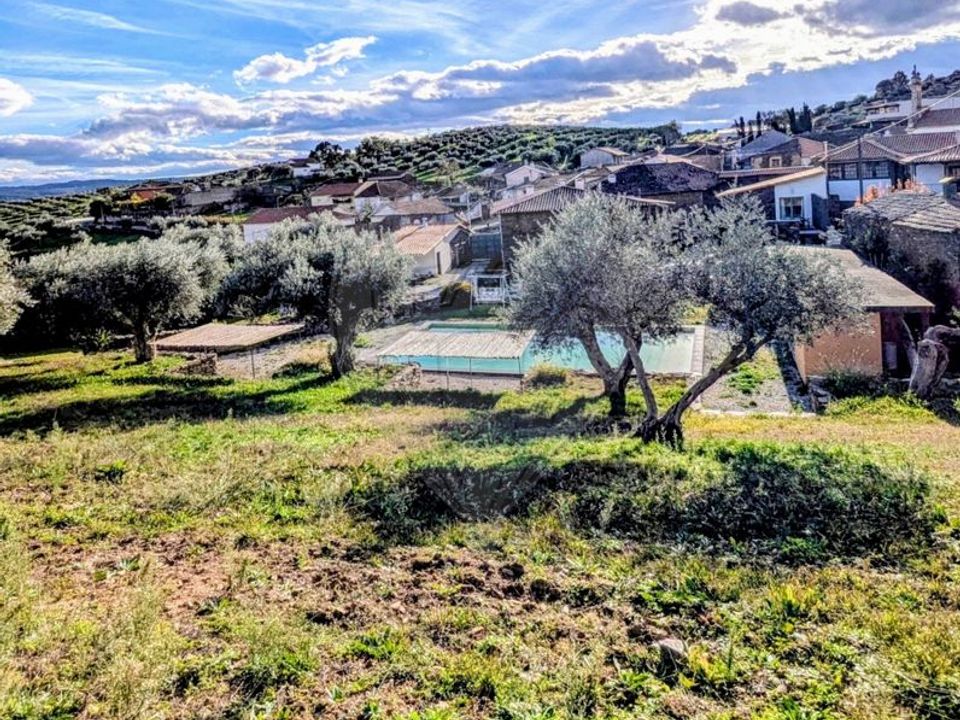 Gård i Mirandela, Braganca - bilde 2