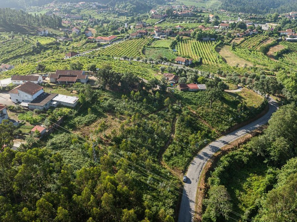 Helårsgrund i Celorico de Basto, Braga - foto 3