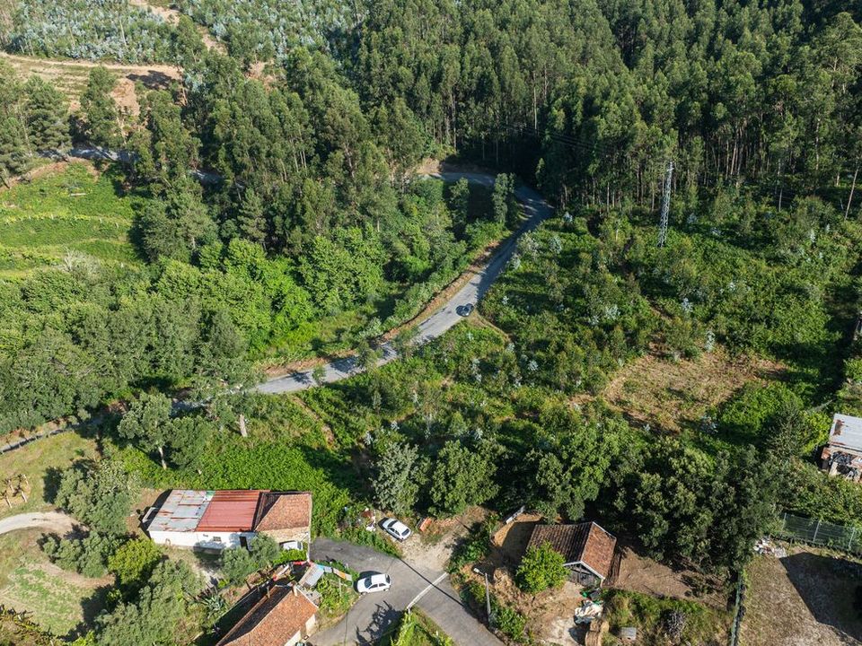 Helårsgrund i Celorico de Basto, Braga - foto 4