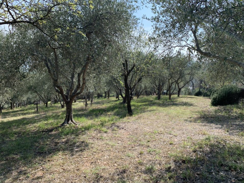 Villa i Arqua Petrarca, Padua - foto 4