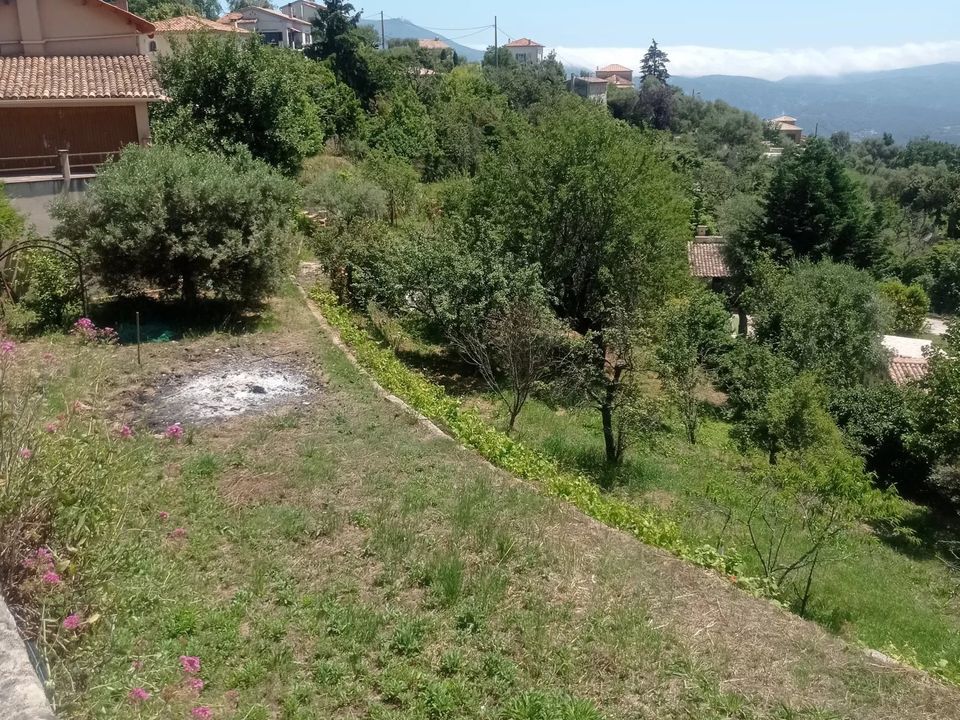 Villa i Berre-les-Alpes, Alpes-Maritimes - bilde 1