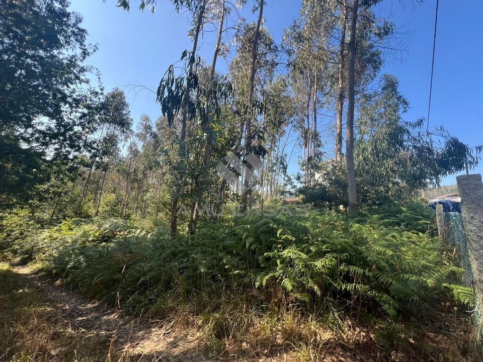 Helårsgrund i Oliveira de Azemeis, Aveiro - foto 3