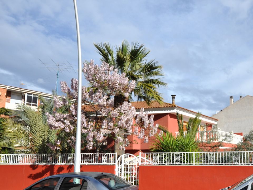 Villa i Sax, Alicante - bilde 1