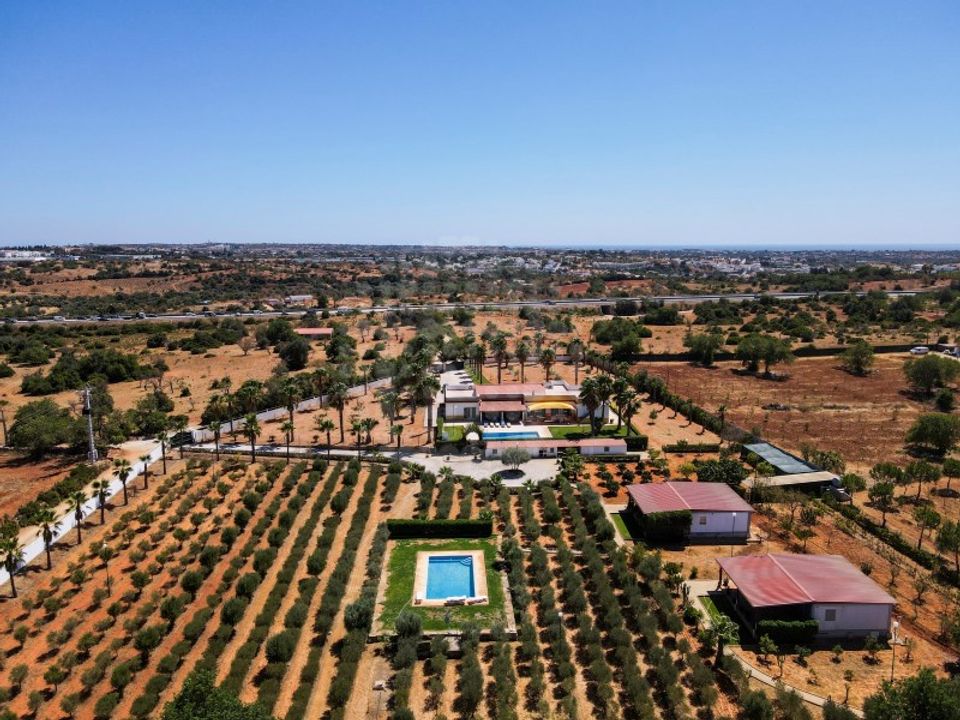 Farm i Guia, Faro - foto 2
