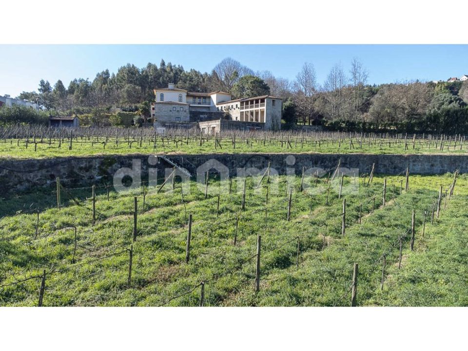 Farm i Vila Nova de Famalicao, Braga - foto 5