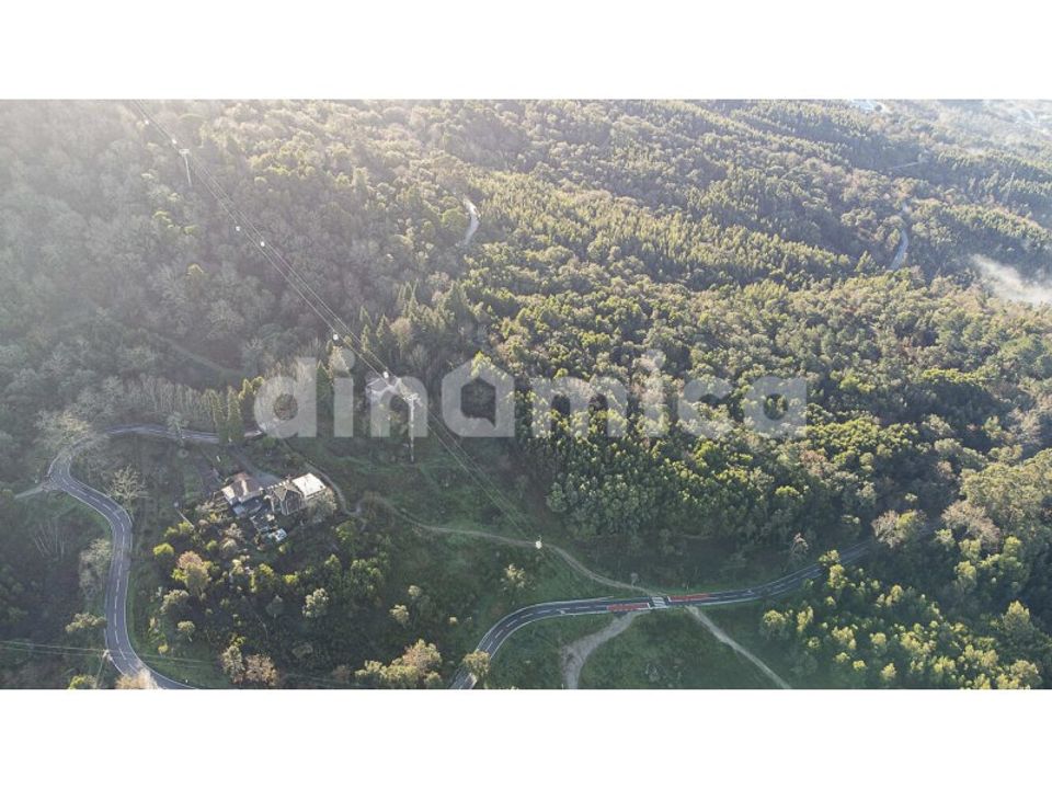 Farm i Guimaraes, Braga - foto 3