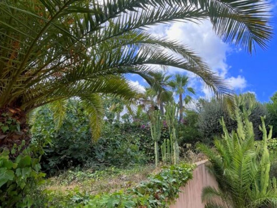 Lejlighed i Peguera, Mallorca - foto 3