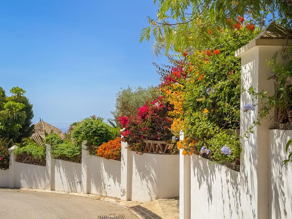 Helårsgrund i Frigiliana, Malaga - foto 5