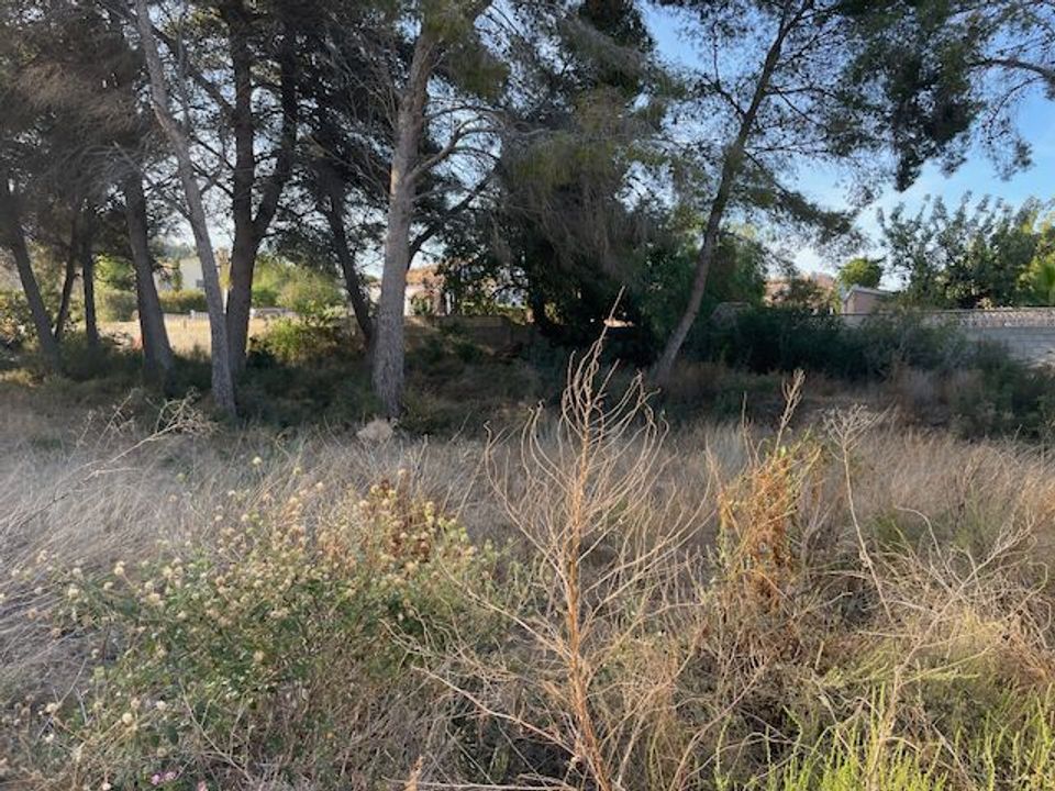 Helårsgrund i Moraira, Alicante - foto 4