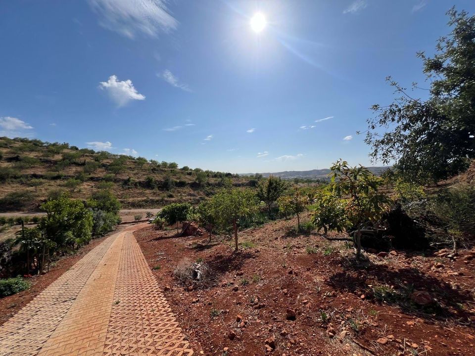 Helårsgrund i Silves, Faro - foto 1