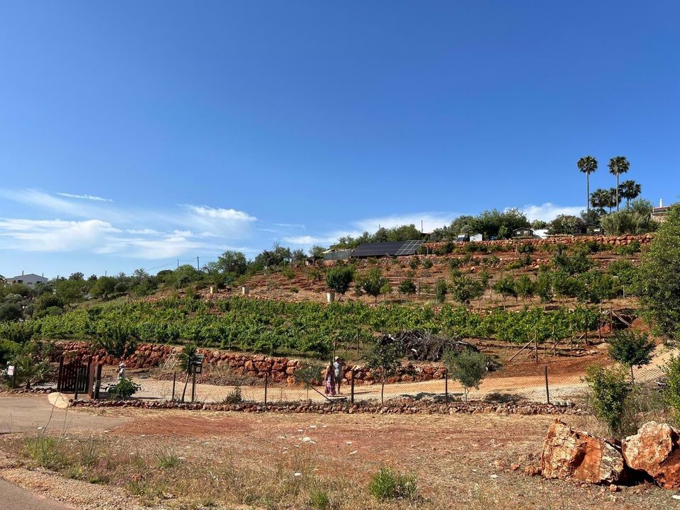 Helårsgrund i Silves, Faro - foto 2