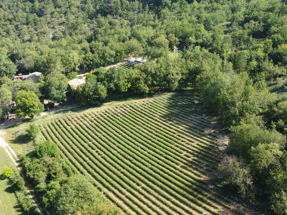 Erhvervsejendom i Saint-Martin-de-Castillon, Vaucluse - foto 5