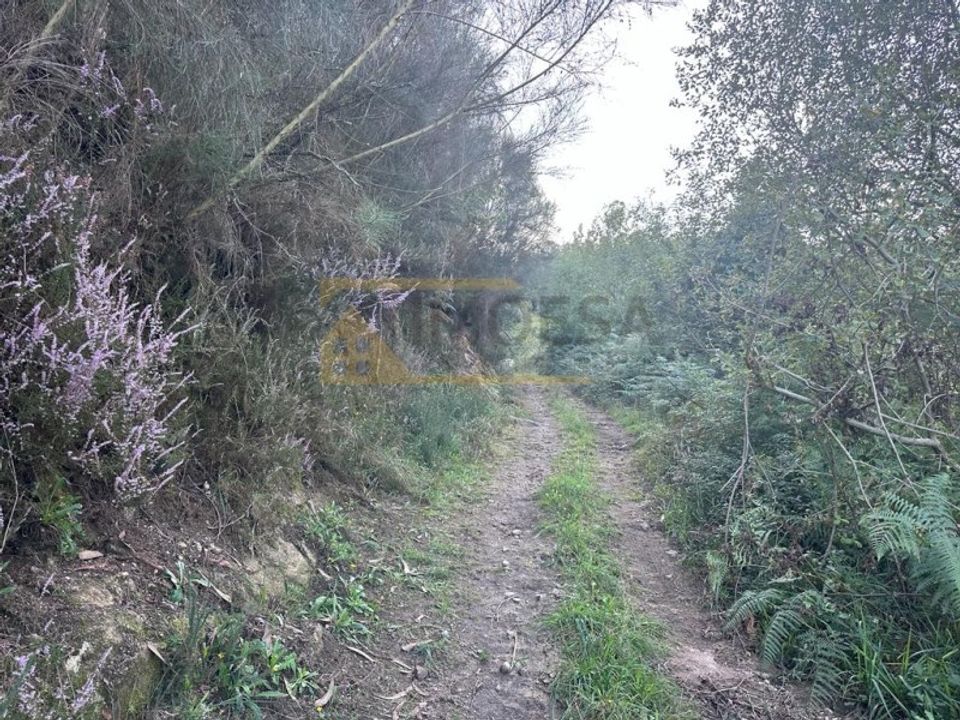 Erhvervsejendom i Moncao, Viana do Castelo - foto 4