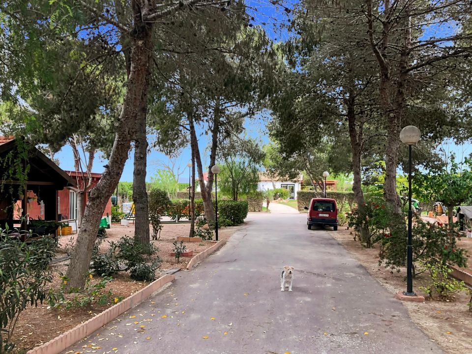 Landejendom i Dolores, Alicante - foto 1