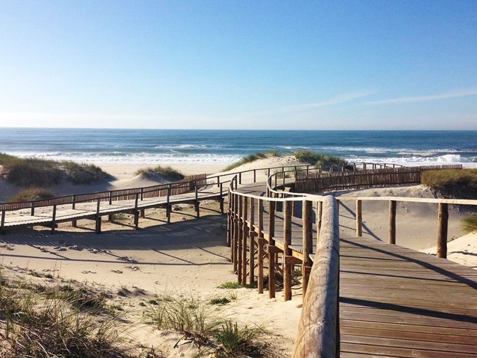 Tomt i Murtosa, Aveiro - bilde 1