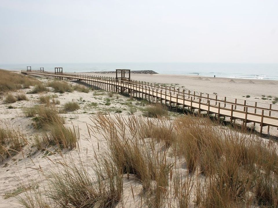 Tomt i Murtosa, Aveiro - bilde 2