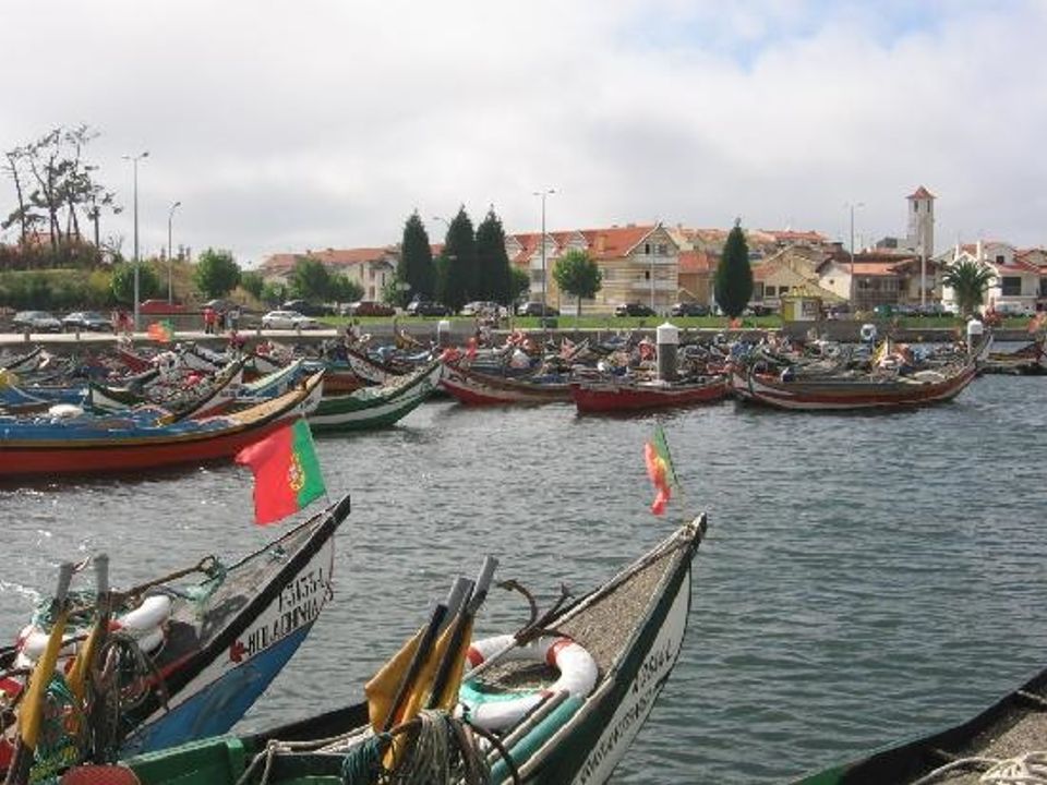 Tomt i Murtosa, Aveiro - bilde 5