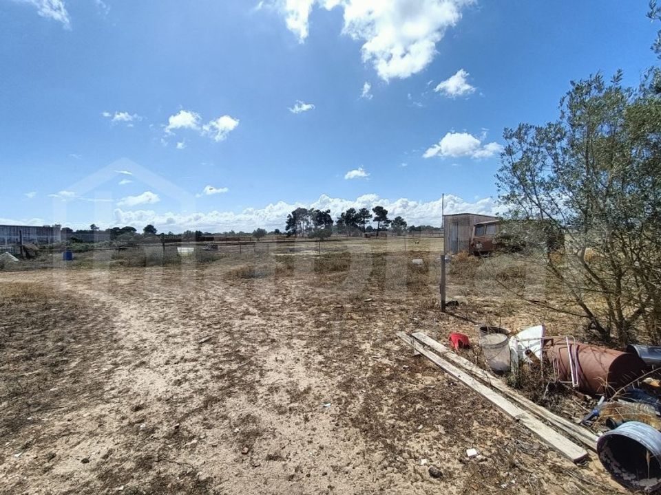 Helårsgrund i Benavente, Santarem - foto 4