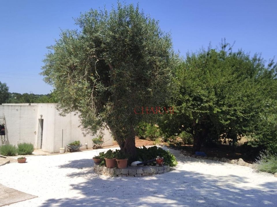 Landejendom i Cisternino, Brindisi - foto 4