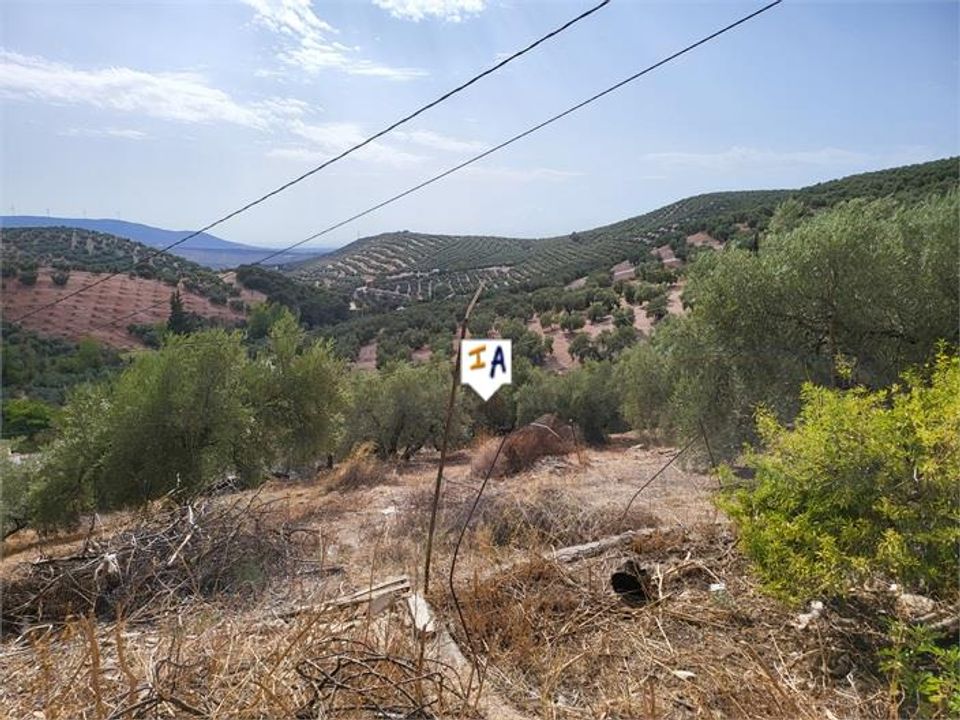 Cortijo i Villanueva De Algaidas, Malaga - foto 4