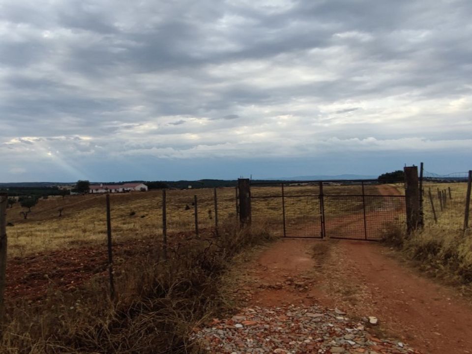 Farm i Redondo, Evora - foto 1