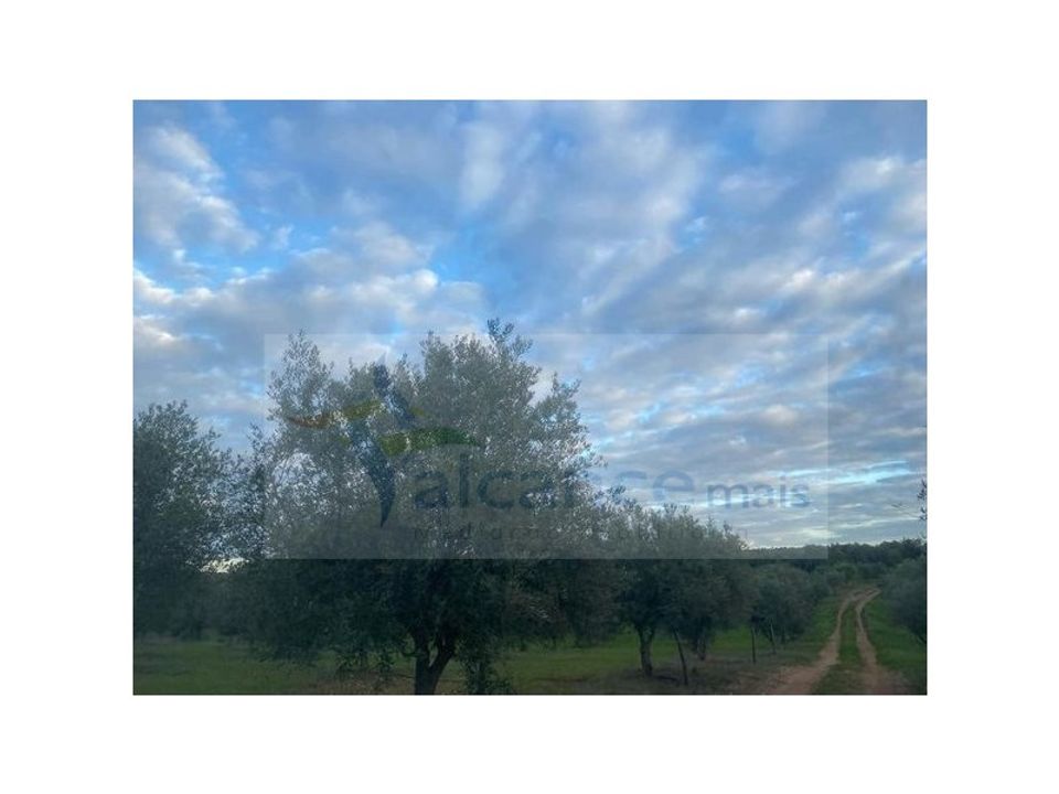 Landejendom i Mourao, Evora - foto 4