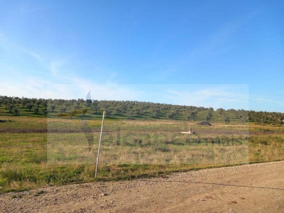 Landejendom i Mourao, Evora - foto 5