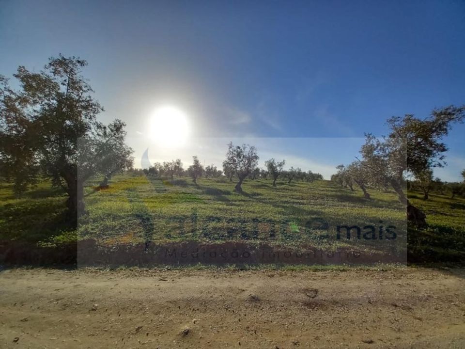 Landejendom i Mourao, Evora - foto 2