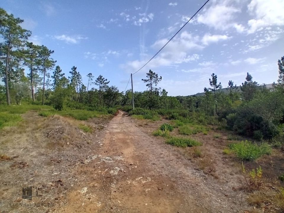 Helårsgrund i Pombal, Leiria - foto 2