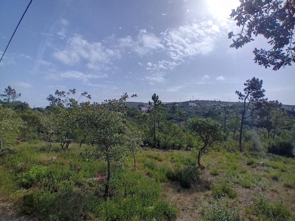 Helårsgrund i Pombal, Leiria - foto 3
