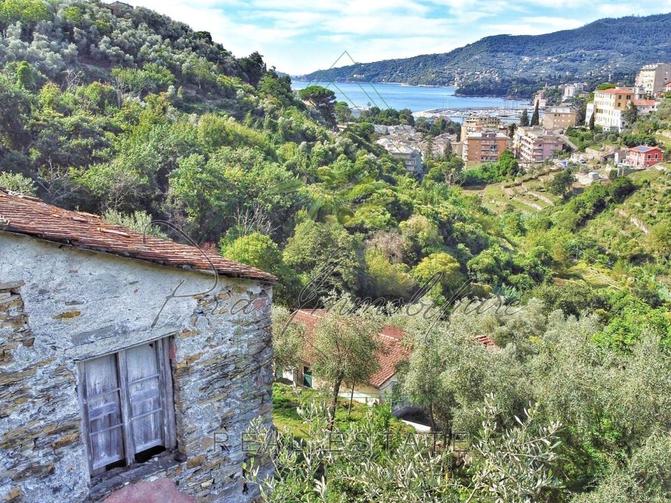 Villa in Rapallo, Genoa - foto 1