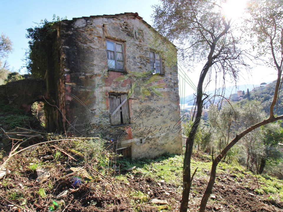 Villa in Rapallo, Genoa - foto 4