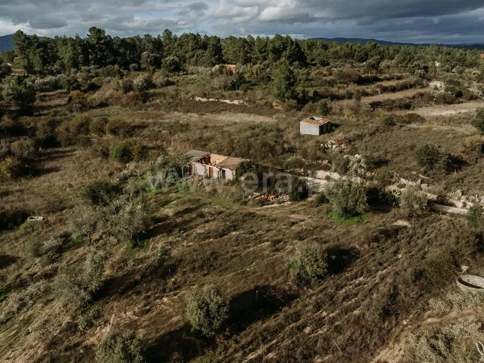 Farm i Fundao, Castelo Branco - foto 1