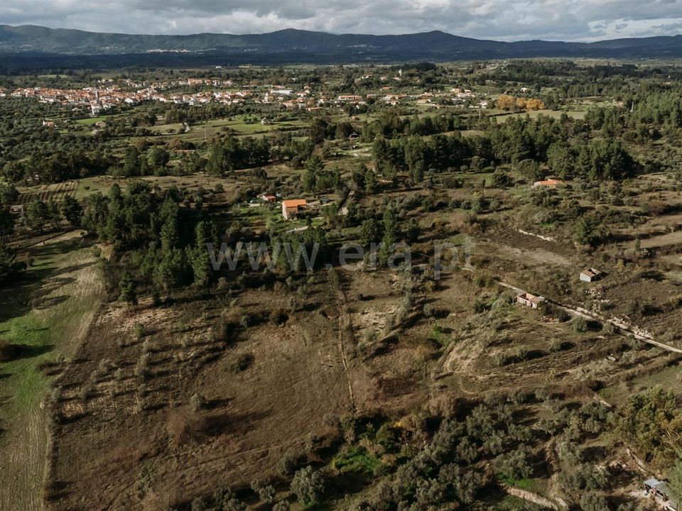 Farm i Fundao, Castelo Branco - foto 4