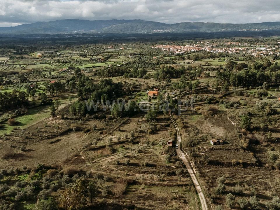 Farm i Fundao, Castelo Branco - foto 5