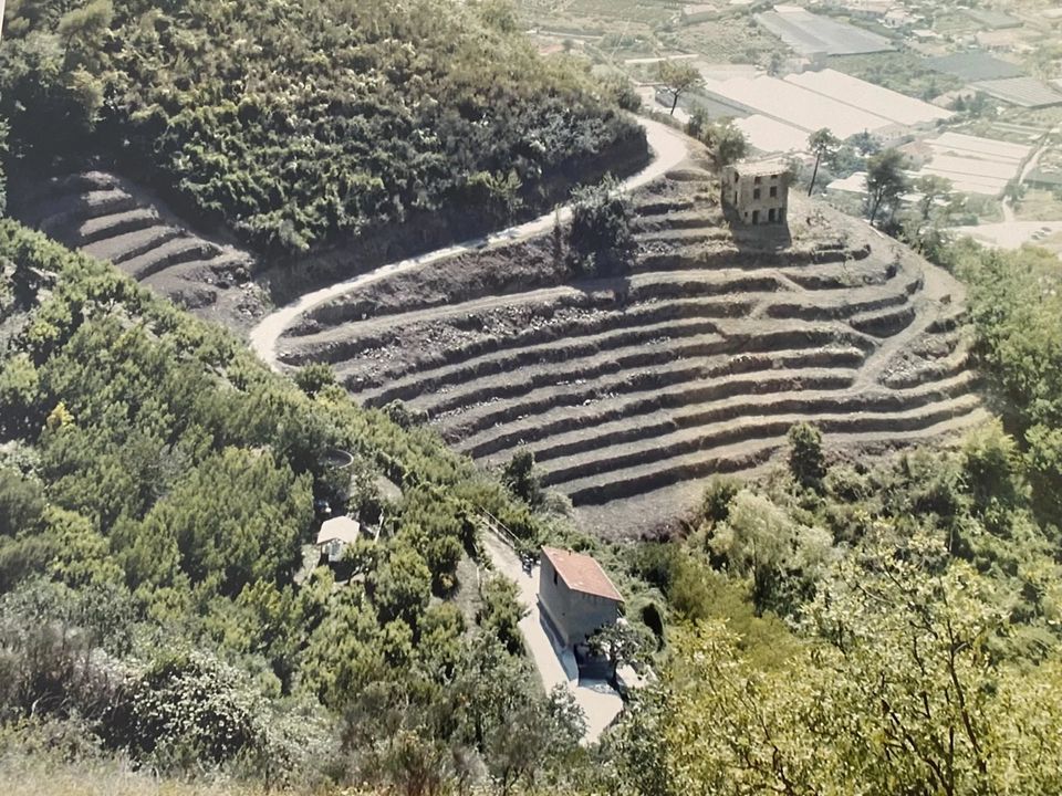 Helårsgrund i San Biagio della Cima, Imperia - foto 1