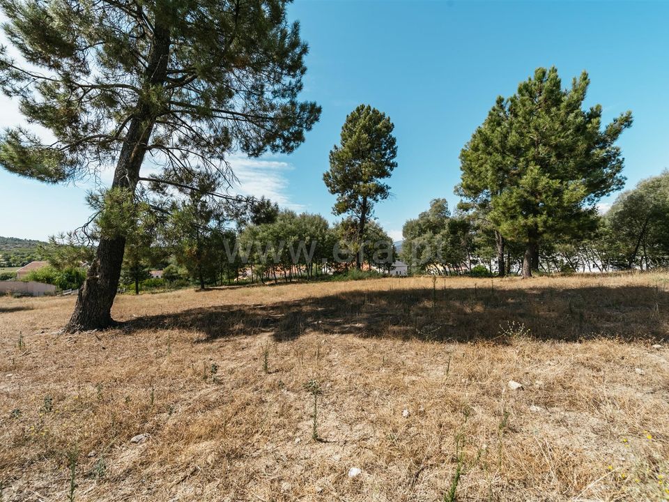 Helårsgrund i Belmonte, Castelo Branco - foto 5