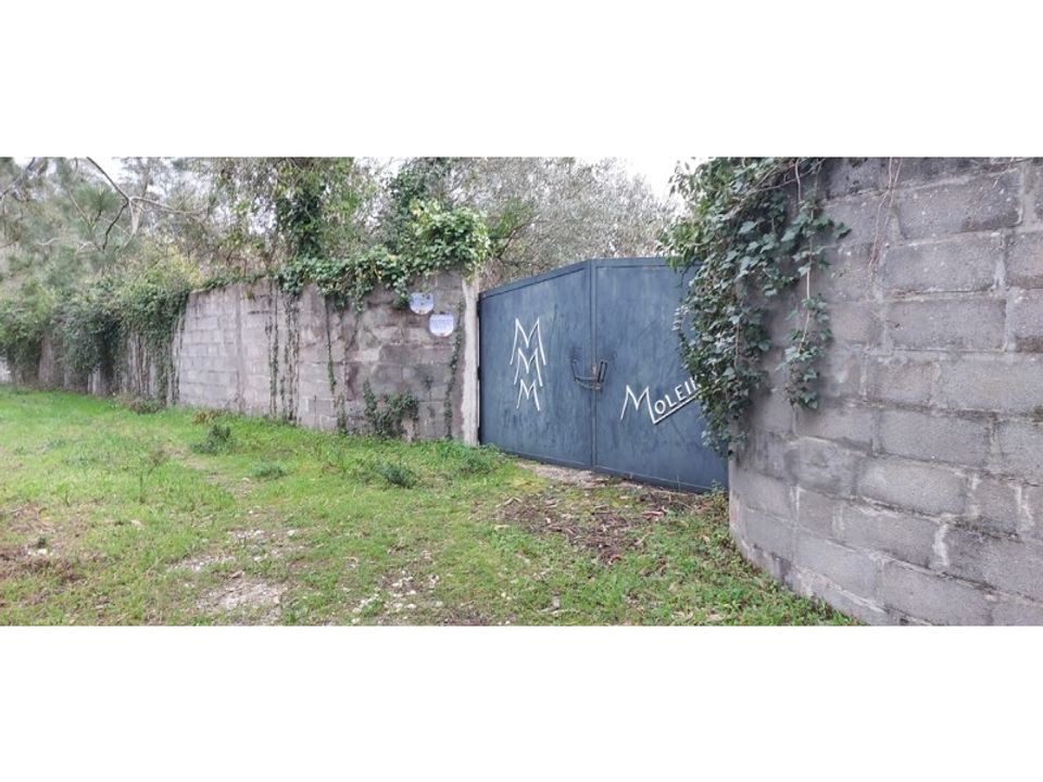 Tomt i Monte Real, Leiria - bilde 1