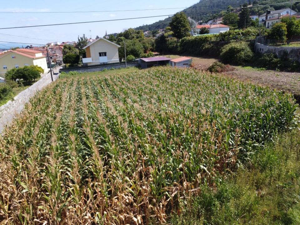 Helårsgrund i Caminha, Viana do Castelo - foto 3