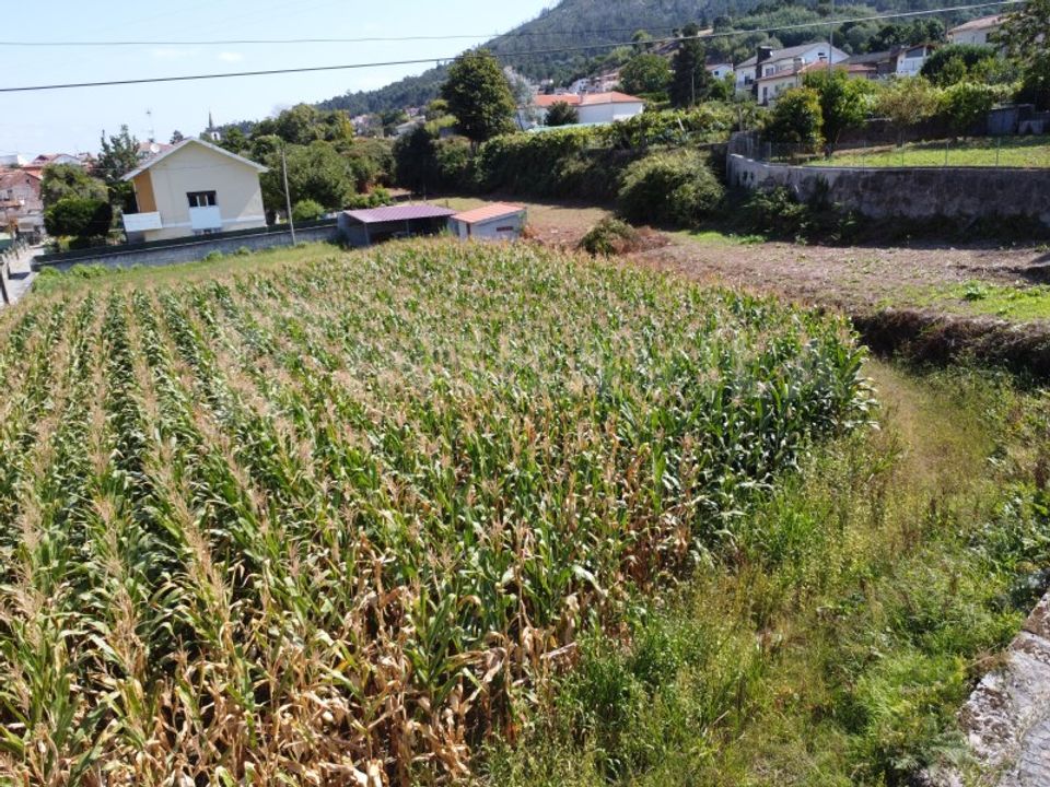 Helårsgrund i Caminha, Viana do Castelo - foto 5